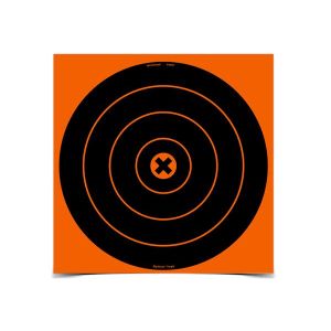 Birchwood Casey Big Burst 12