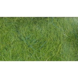 Lightspeed Image ID: 25413