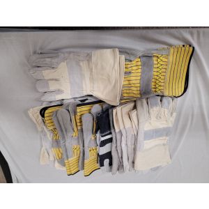 Lightspeed Image ID: 23845