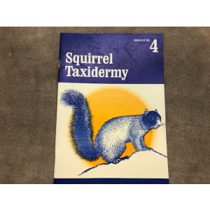 Lightspeed Image ID: 20715