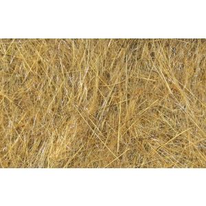 Lightspeed Image ID: 25407